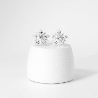 Brinco Prata Flor Zircônia