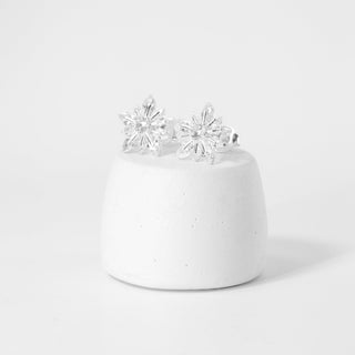 Brinco Prata Flor Zircônia